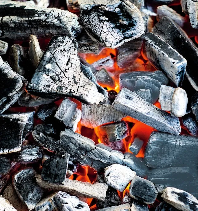 Charcoal PT. AWA Coal